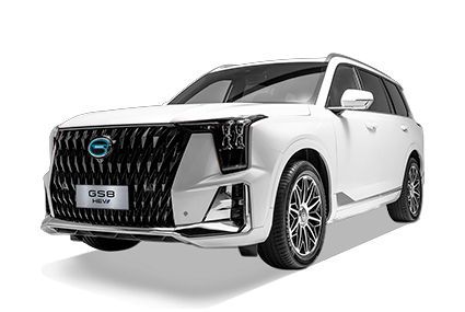 GS8 HEV - GAC Campeche in Campeche Campeche