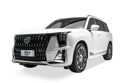  GS8 HEV - GAC Campeche in Campeche Campeche